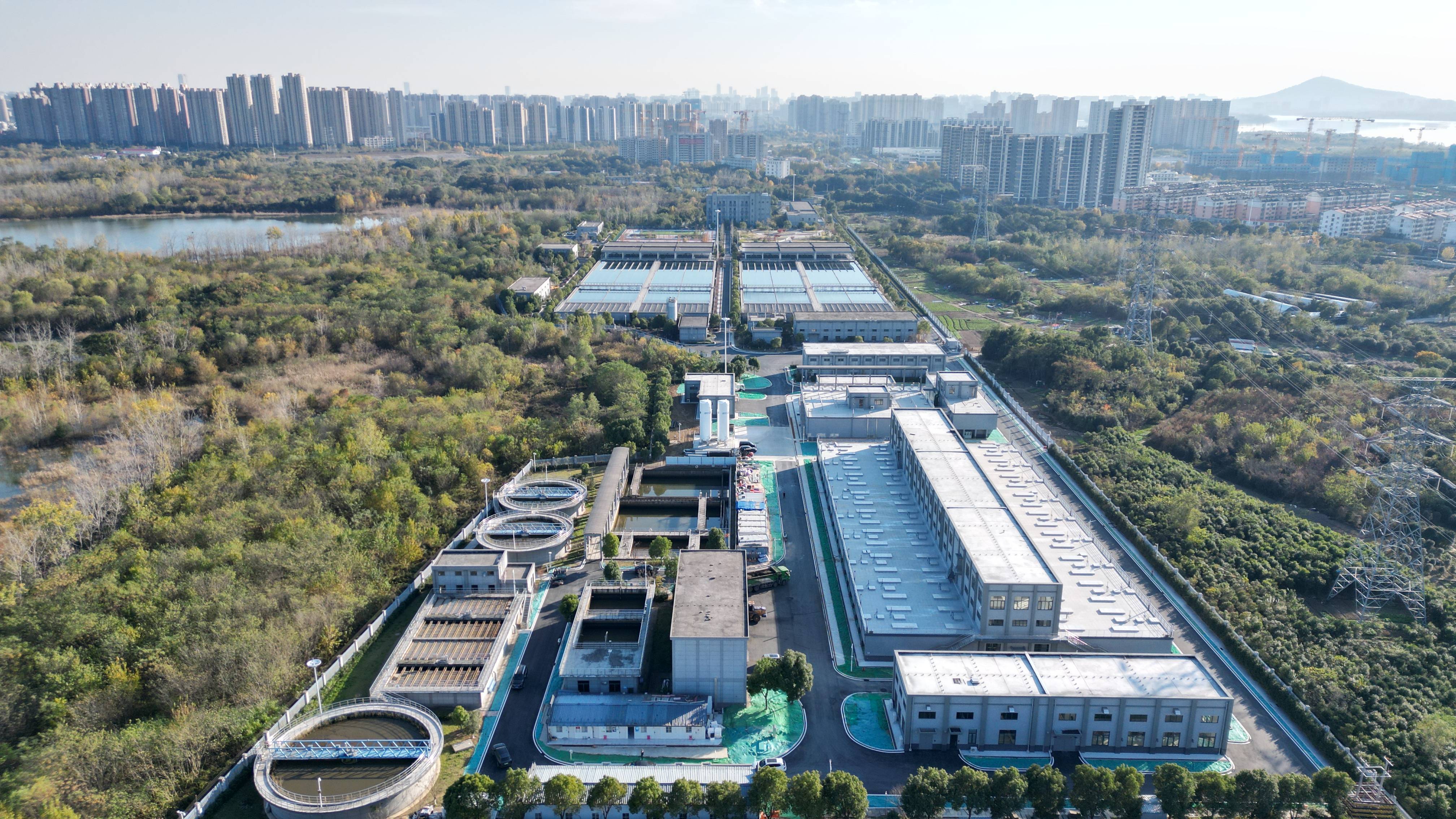 呼和浩特市合肥专业企业价值增长(合肥市重点企业产业目录)