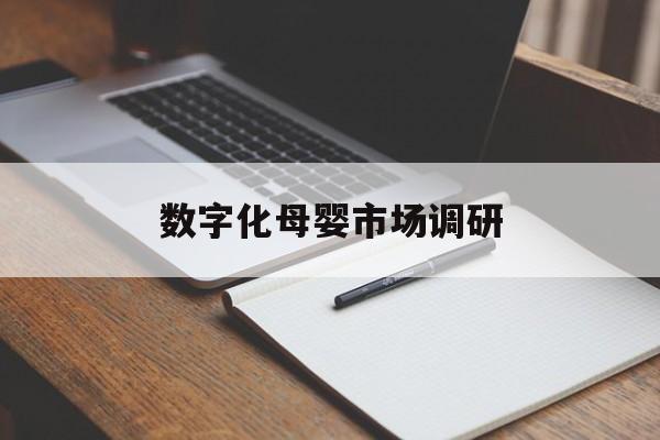 呼和浩特市数字化母婴市场调研(数字化母婴市场调研报告)